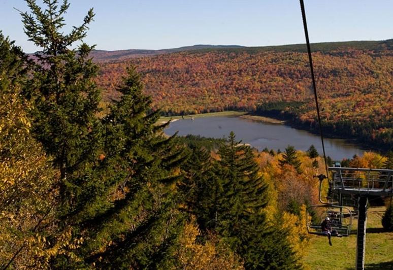 | Allegheny Springs