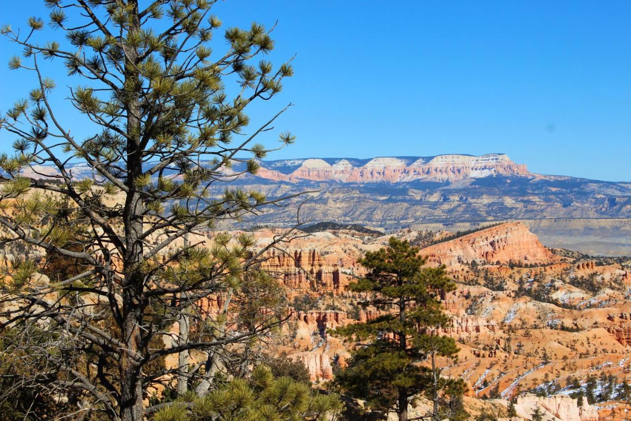 | Bryce Valley Lodging