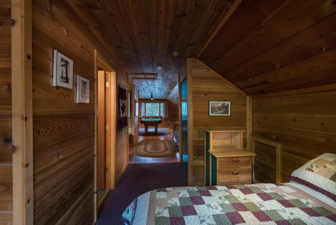 | 37 Wapiti