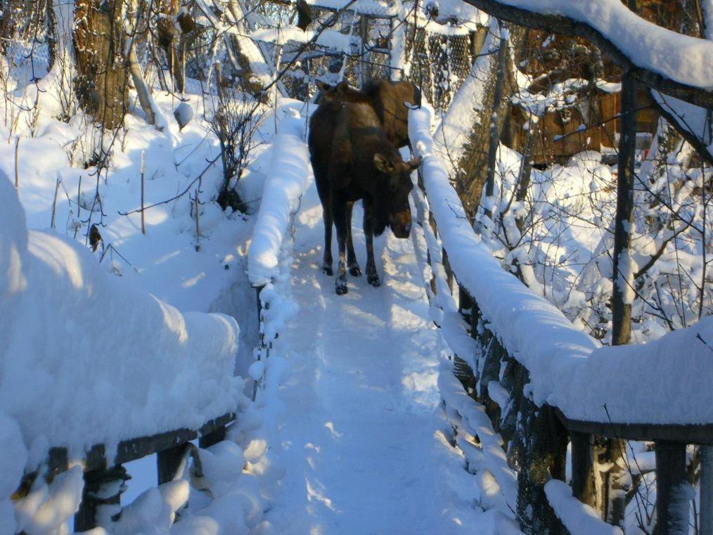| Brigitte's Bavarian Bed und Breakfast