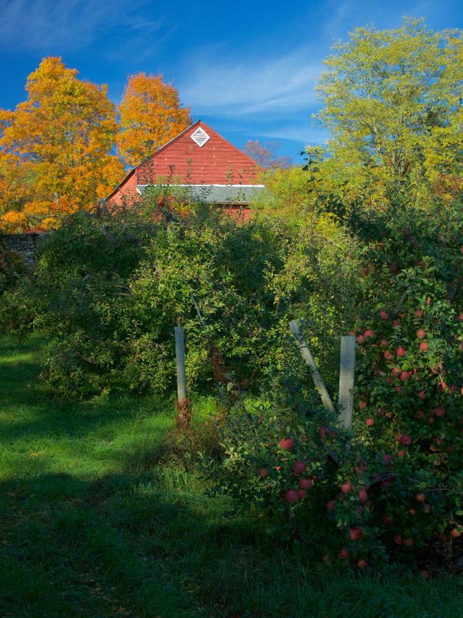 | Danskammer House Bed & Breakfast