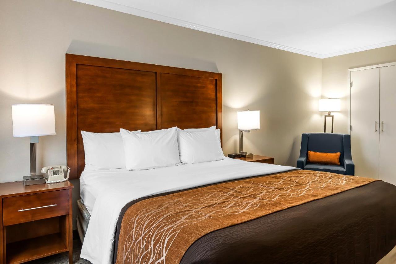 Standard Room, 1 King Bed, Non Smoking at Comfort Inn Santa Monica - West Los Angeles