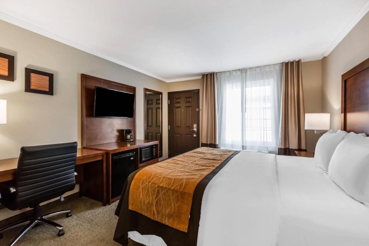 Standard Room, 1 King Bed, Non Smoking at Comfort Inn Santa Monica - West Los Angeles