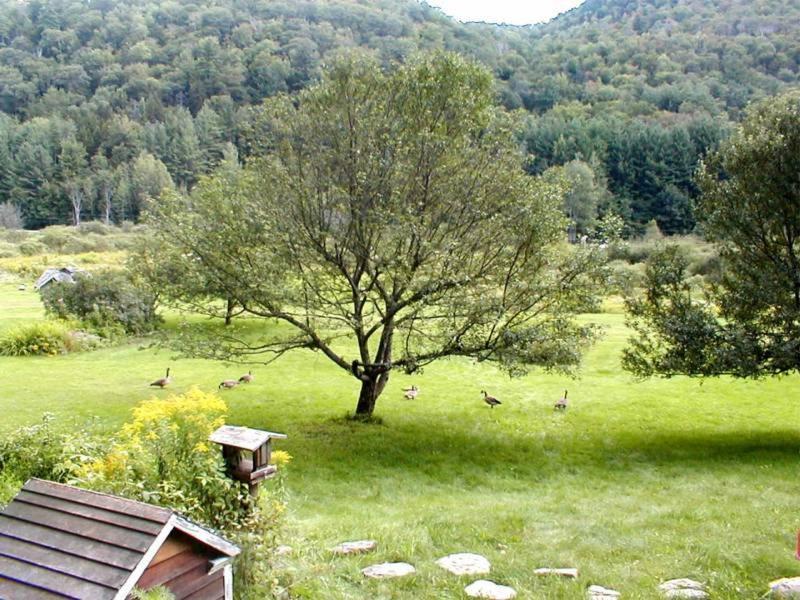 | Mountain Valley Retreat