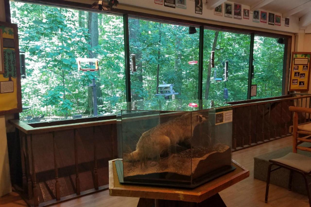 | Potawatomi Inn & Cabins