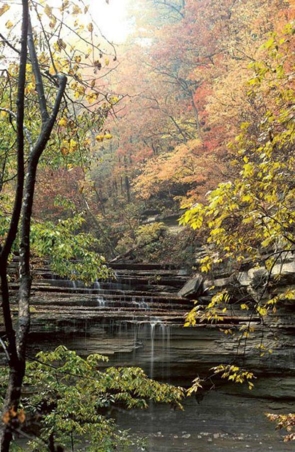 | Clifty Inn