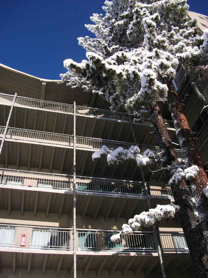 | Pepper Tree Inn Tahoe City