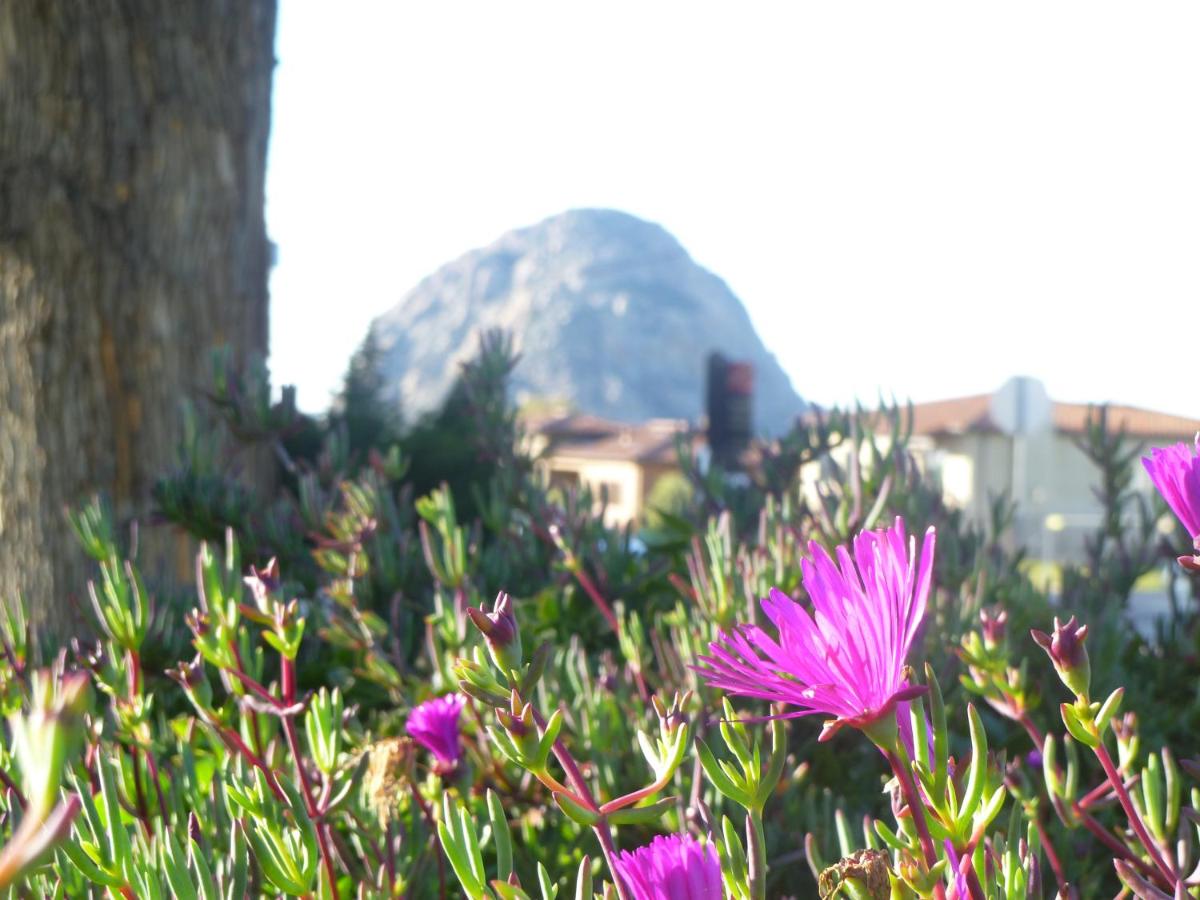 | Morro Bay Sandpiper Inn