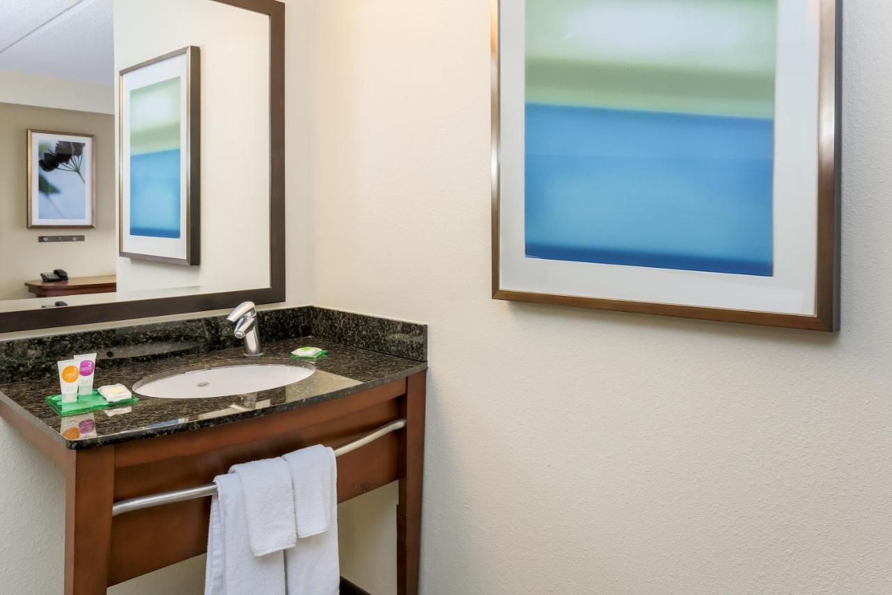 Ada King Tub at Hyatt Place Dallas/Grapevine