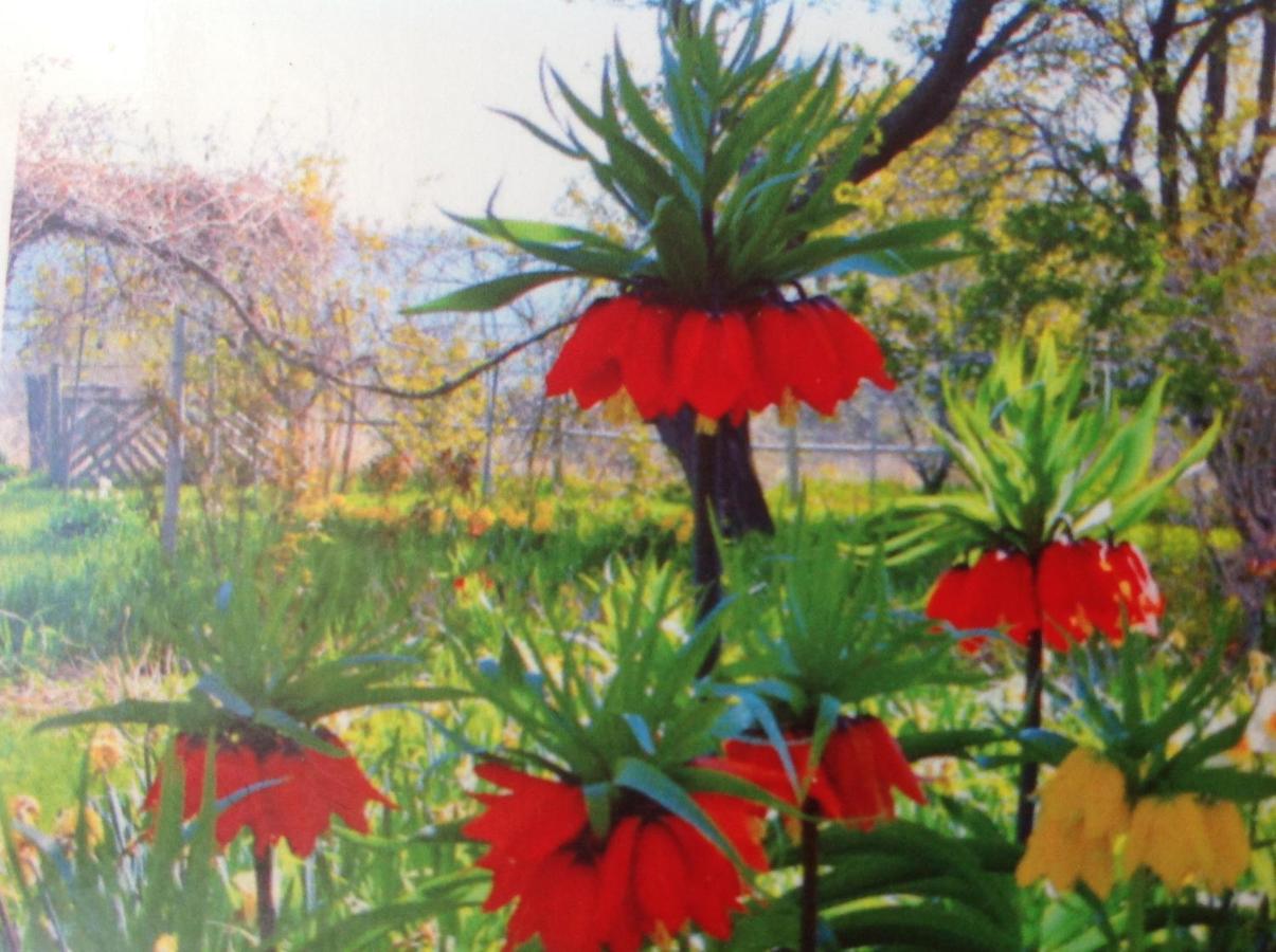 | Old Pioneer Garden Country Inn