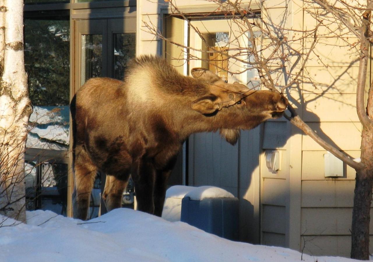  | Susitna Place B&B