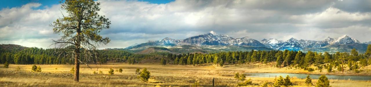 | Elktrace Bed and Breakfast
