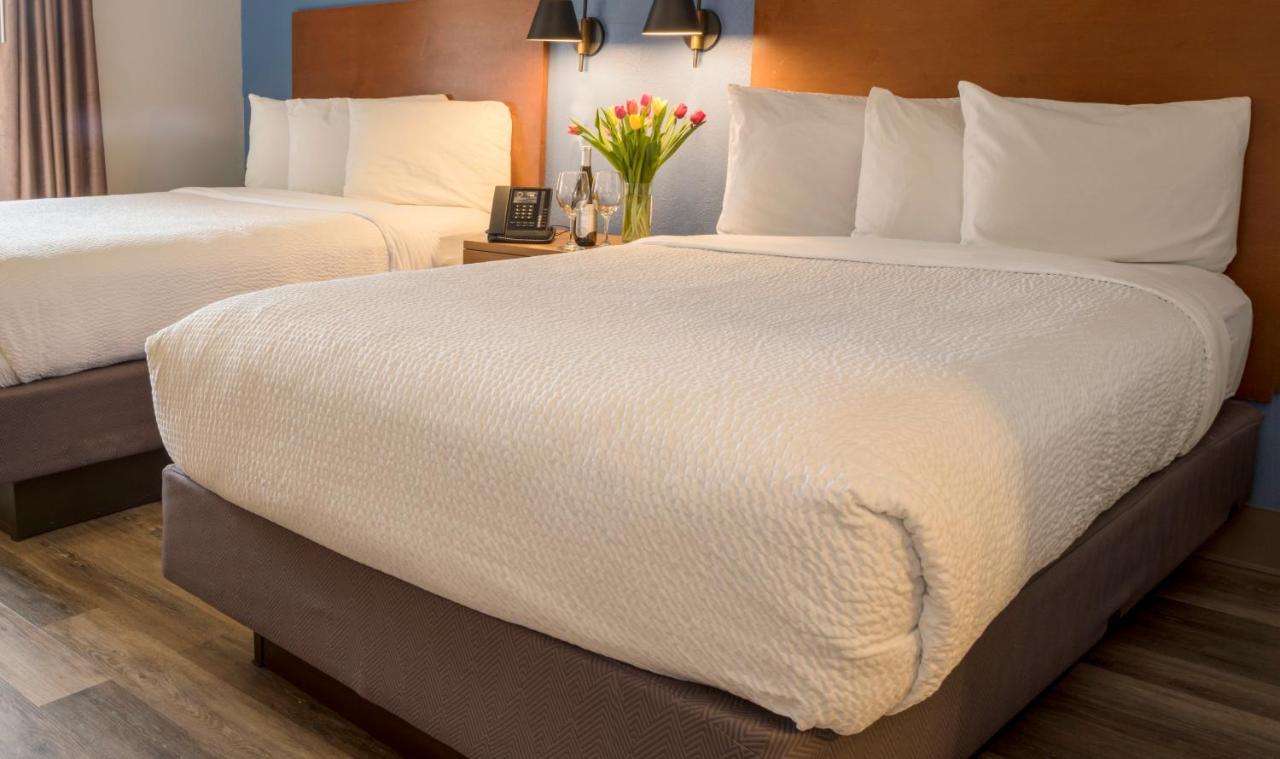 Deluxe Double Room with Two Double Beds at Hotel Focus SFO