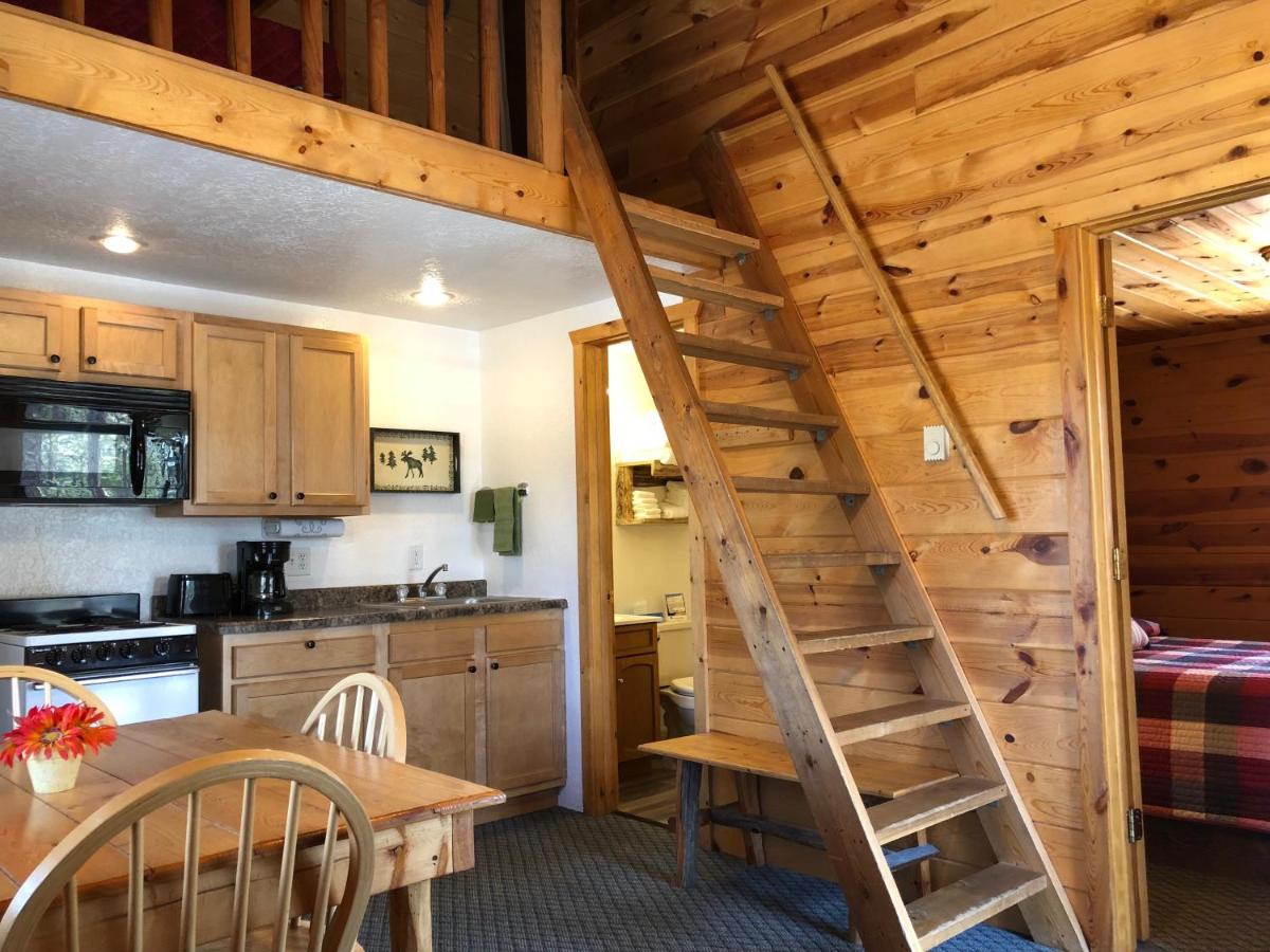 | Mountain View Lodge & Cabins