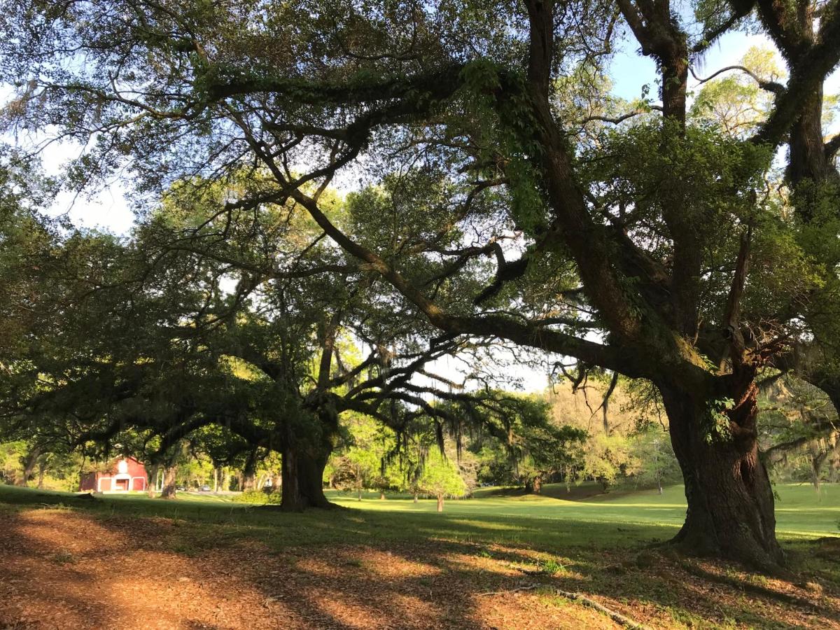 | Canemount Plantation Inn