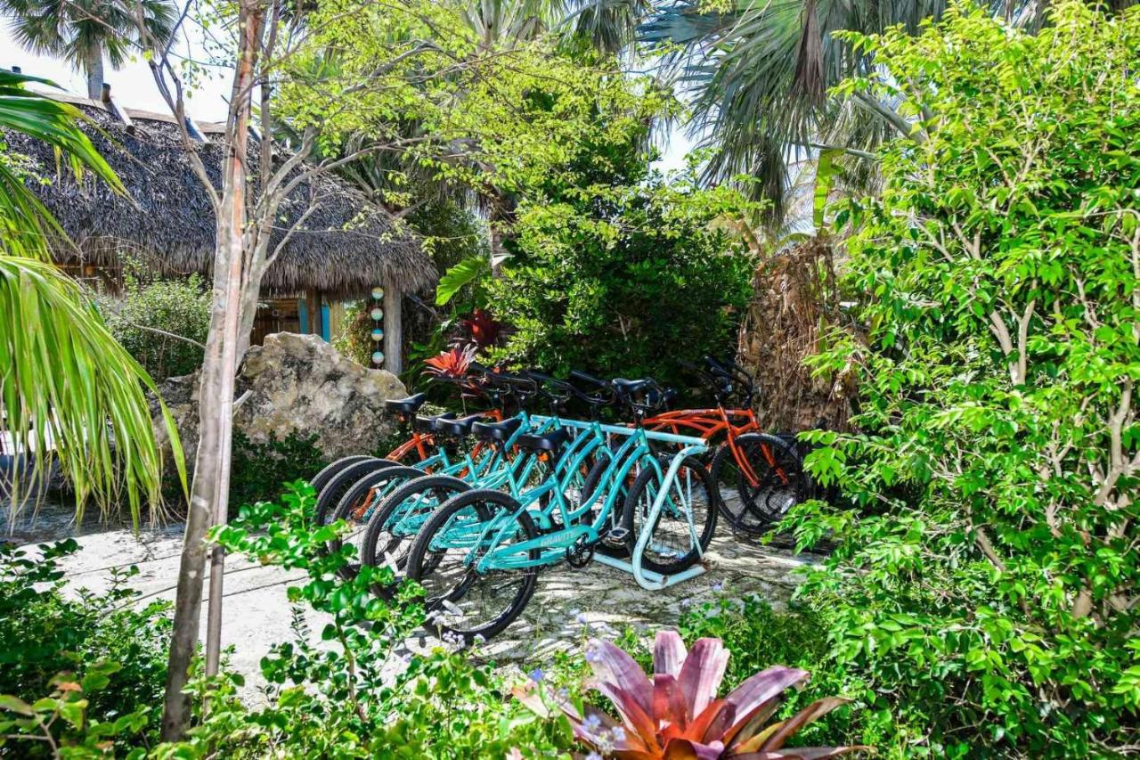 | Tropical Breeze Resort