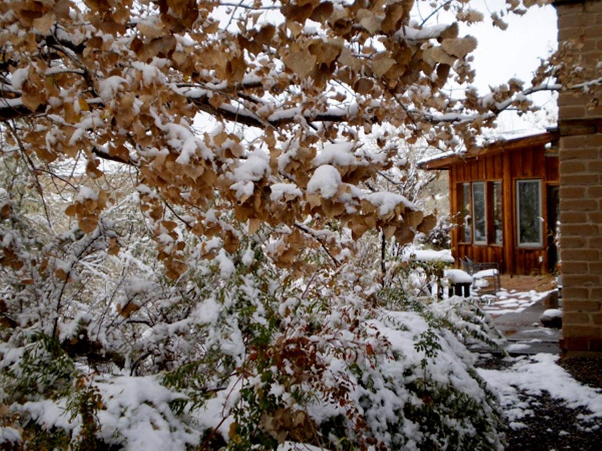 | Silver River Adobe Inn Bed and Breakfast