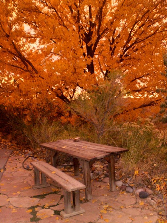 | Silver River Adobe Inn Bed and Breakfast