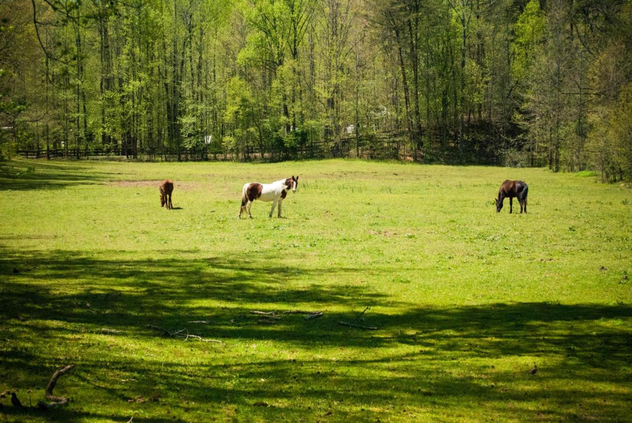 | Country Hideaway at Mountain Lakes Resort