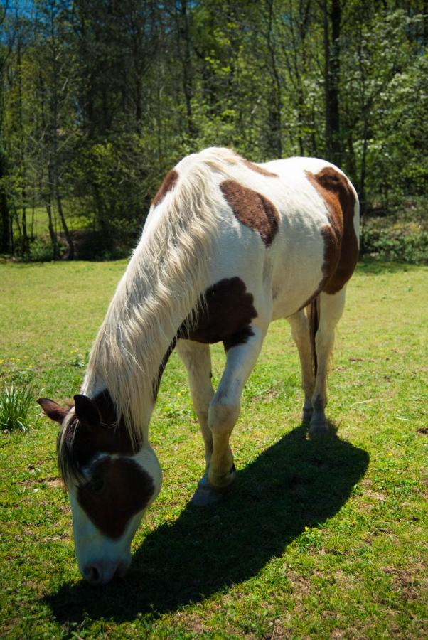 | Country Hideaway at Mountain Lakes Resort