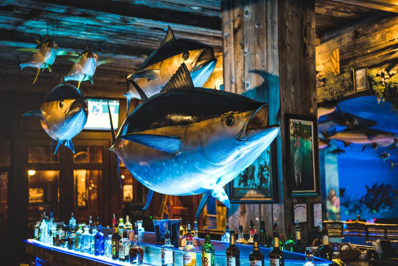 | Big Cypress Lodge