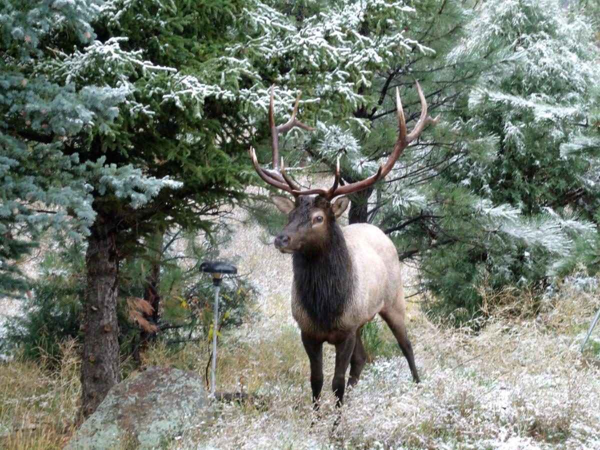 | Estes Lake Lodge