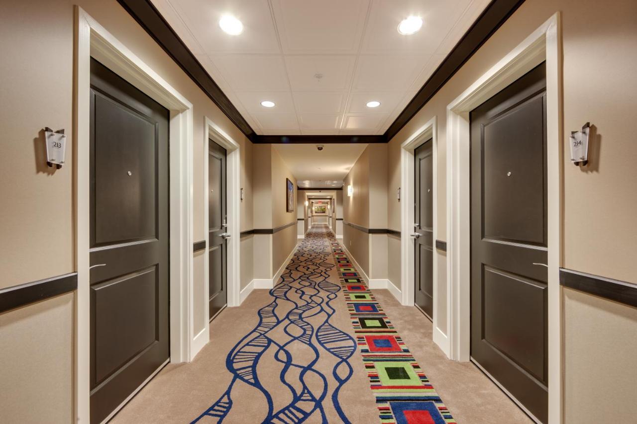 | Cypress Bayou Casino Hotel