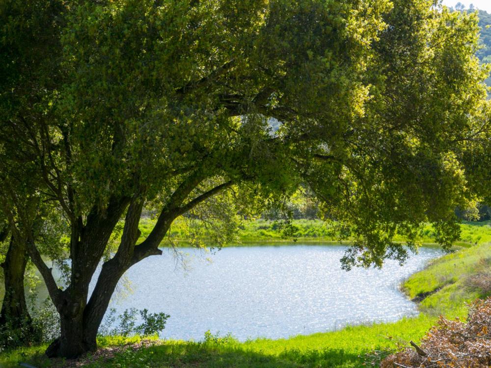 | Rustridge Ranch & Winery