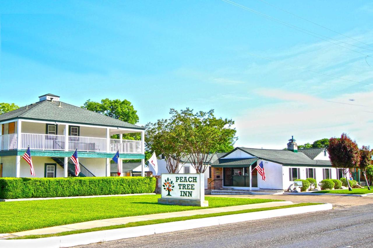 | Peach Tree Inn & Suites