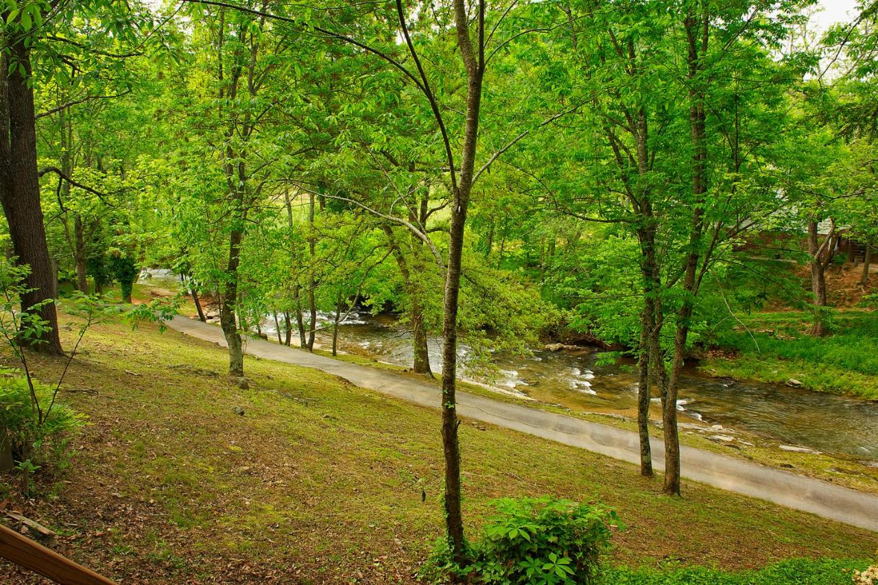 | Mountain Springs Cabins