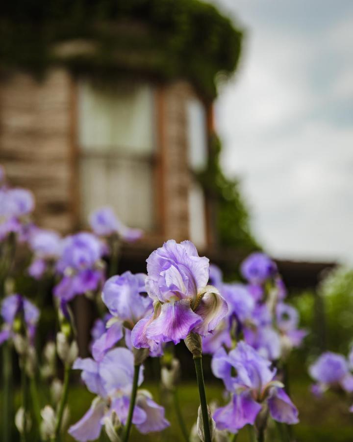 | The Mansion at Elfindale
