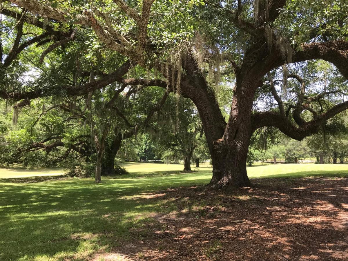 | Canemount Plantation Inn
