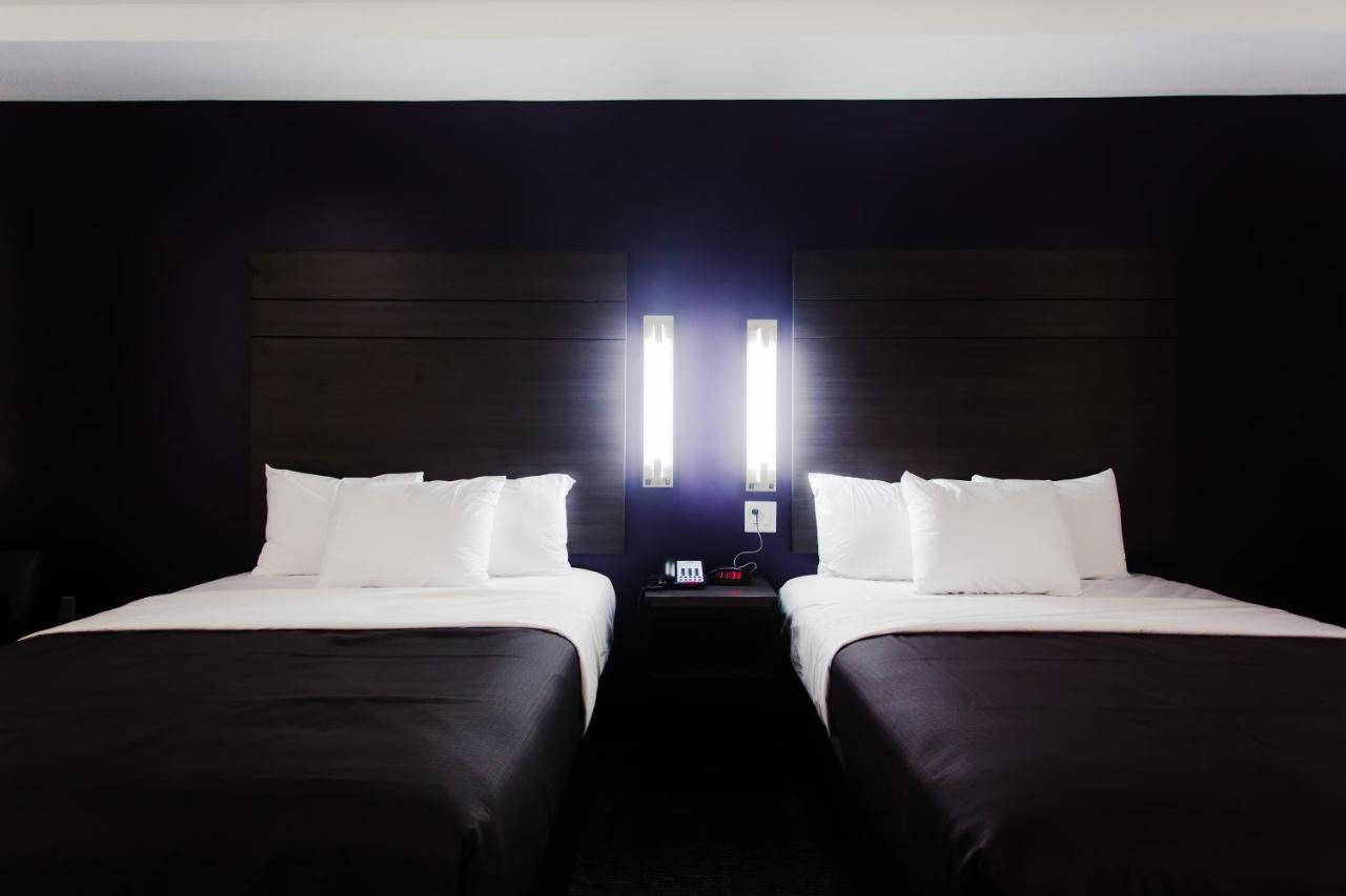 Double Room at Palacio Royale Inn Boutique Katy