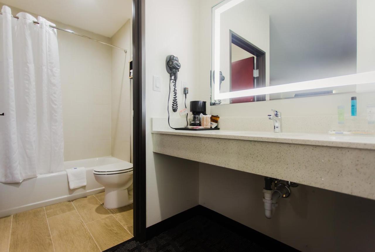 Double Room at Palacio Royale Inn Boutique Katy
