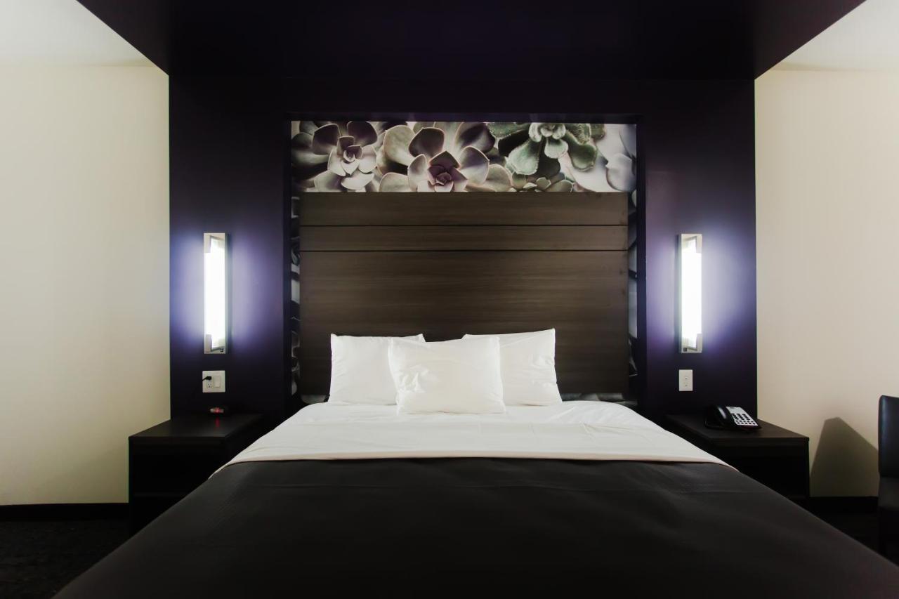 King Room at Palacio Royale Inn Boutique Katy