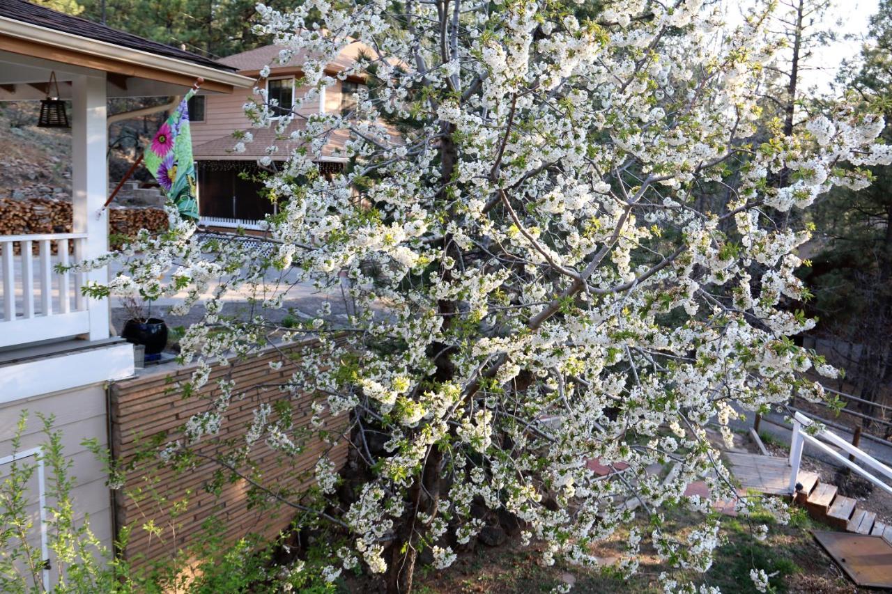 | Sheridan House Inn- Adult Only Accommodation