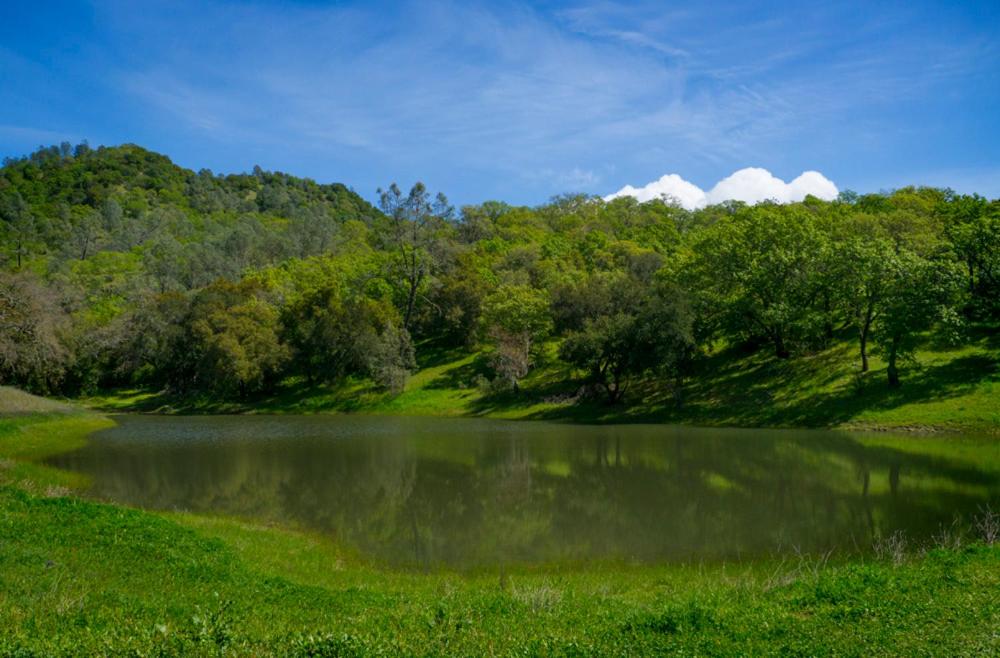 | Rustridge Ranch & Winery