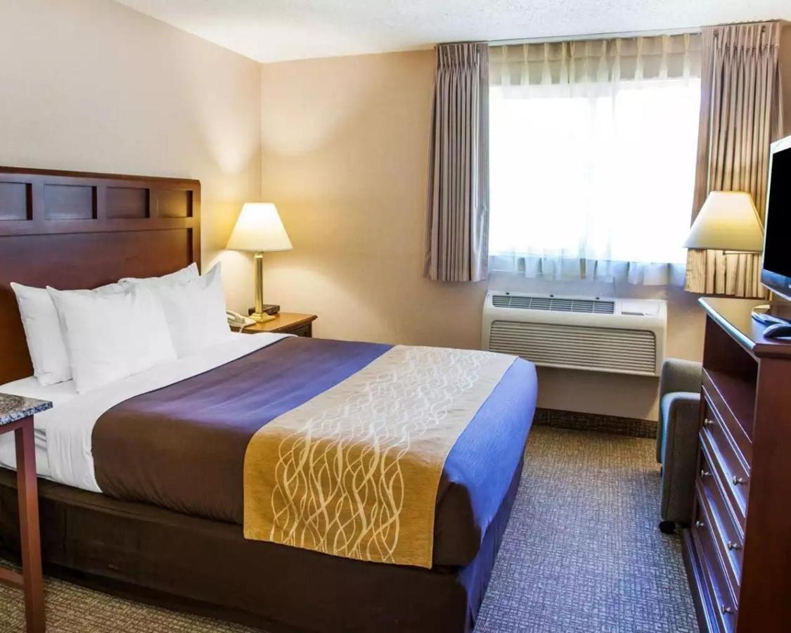 Queen Room - Non-Smoking at Quality Inn Kirkland