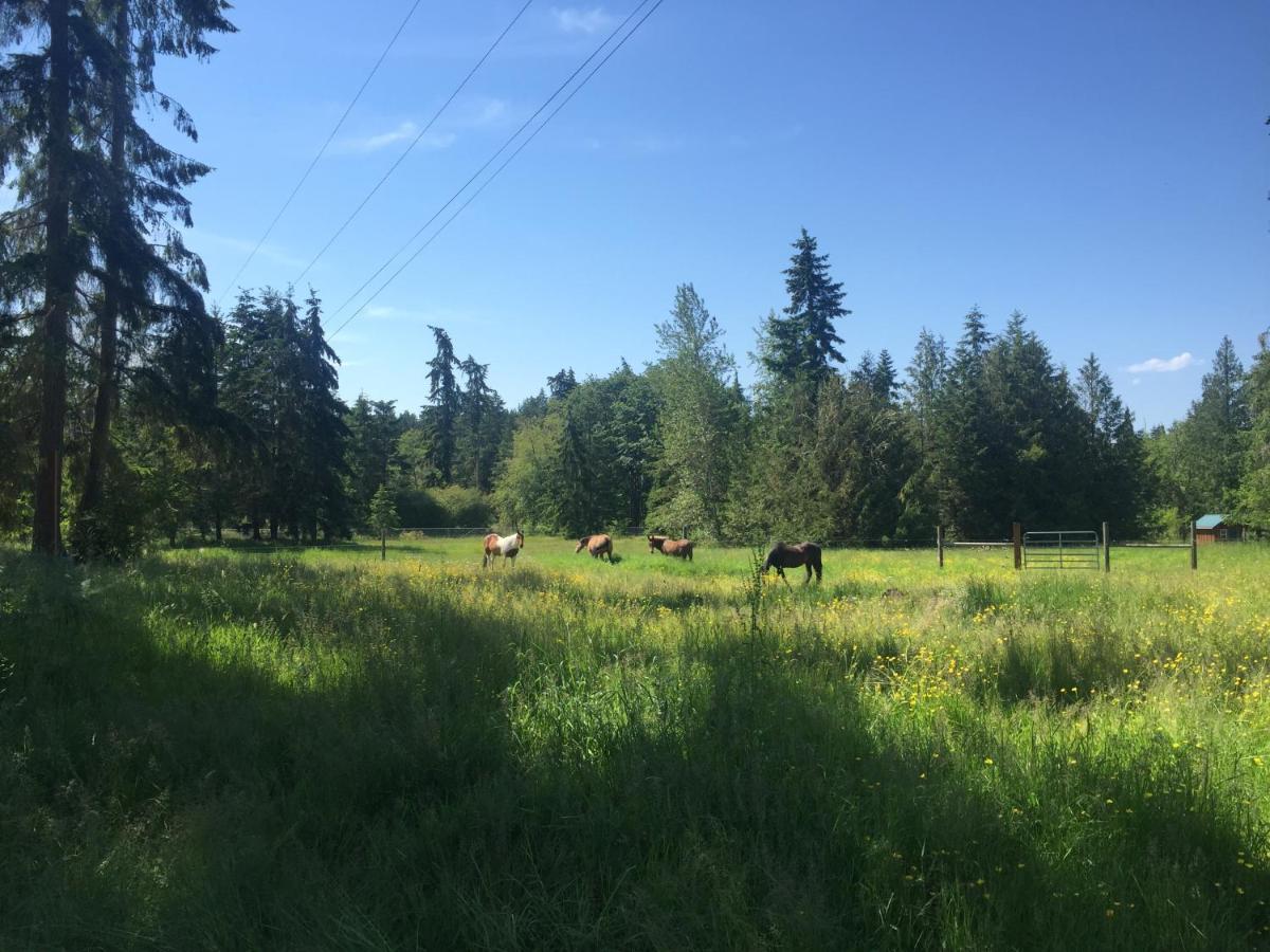 | Bond Ranch Retreat