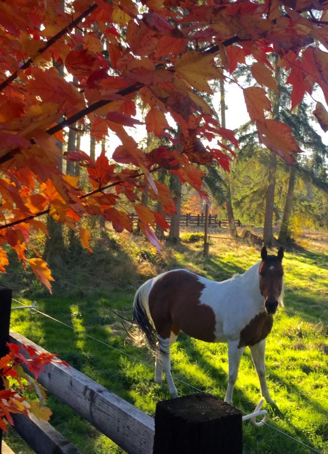 | Bond Ranch Retreat