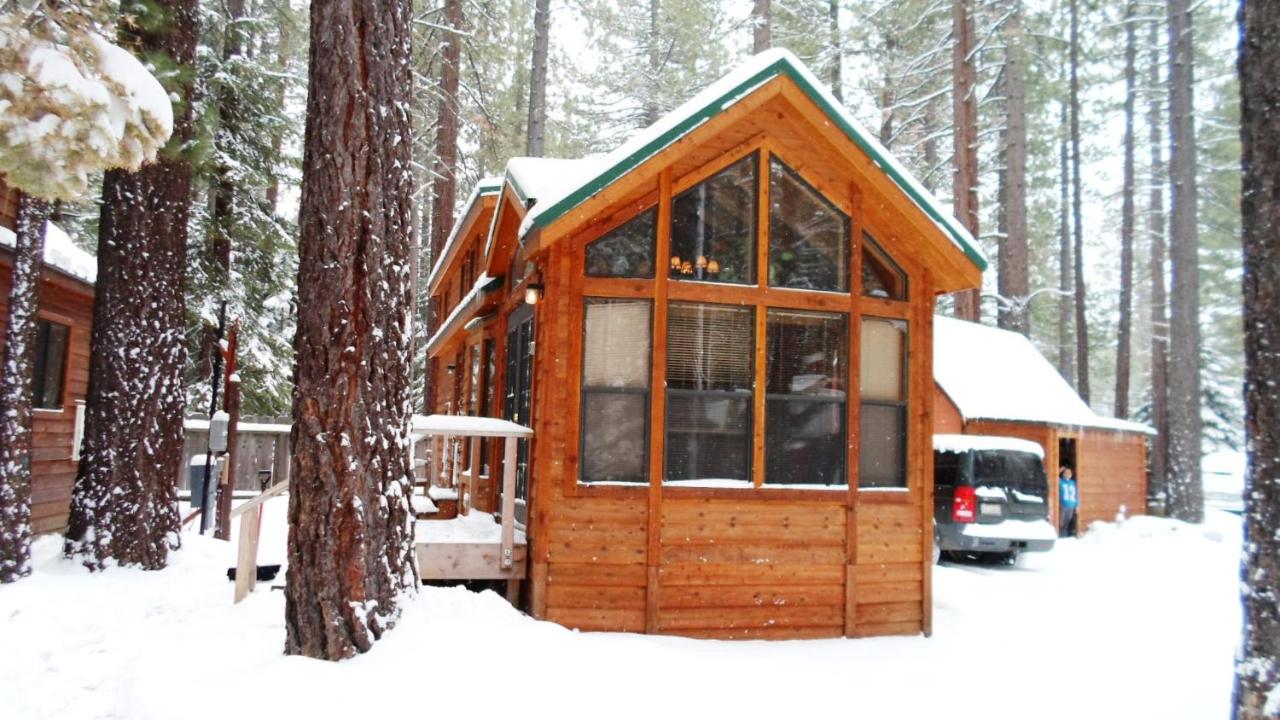 | Cedar Pines Resort