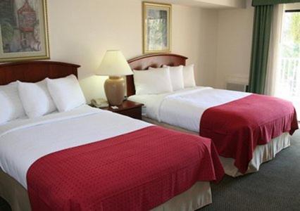 Double Room with Two Double Beds Courtyard View at Quality Inn & Suites Tarpon Springs South