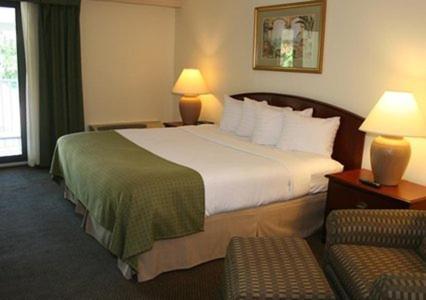 Room #48941013 at Quality Inn & Suites Tarpon Springs South