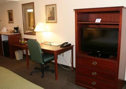 King Room - Non-Smoking at Quality Inn & Suites Tarpon Springs South