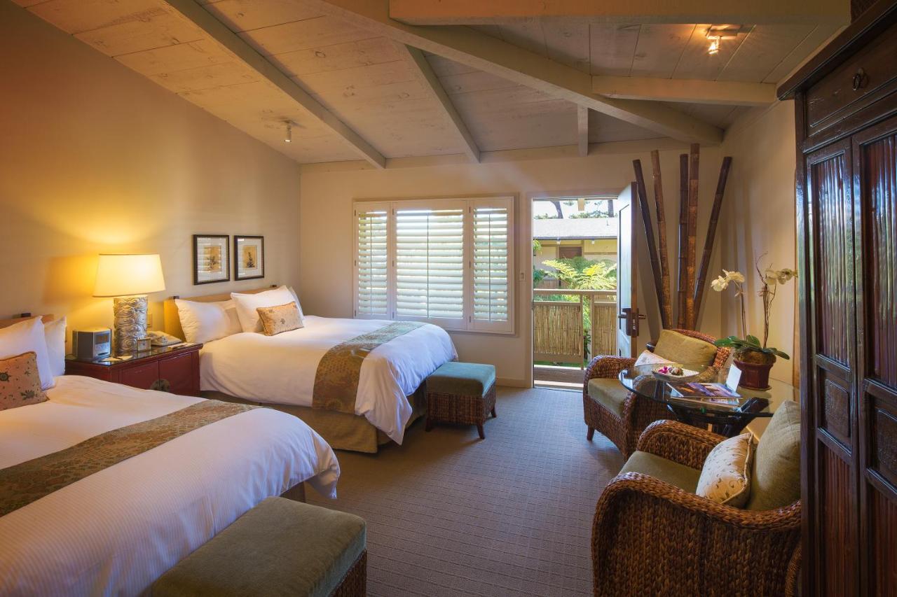 | Tradewinds Carmel