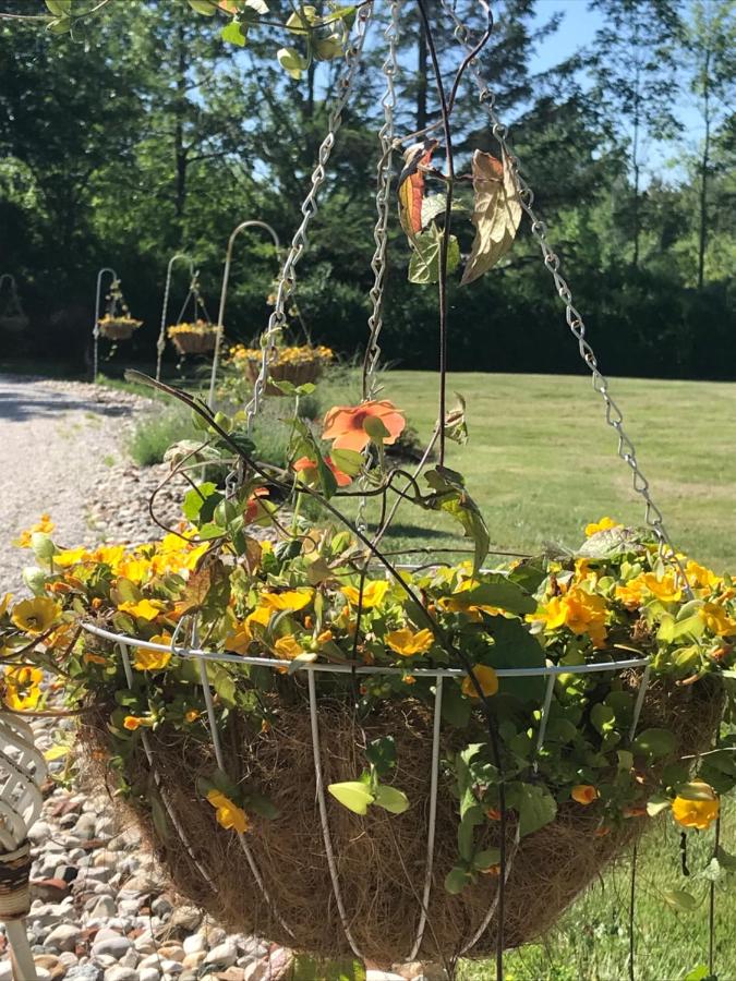  | Martha's Vineyard B & B