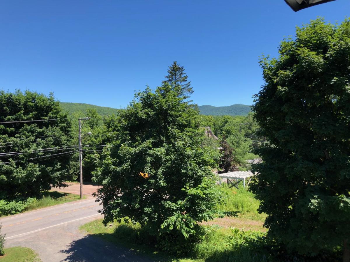 | Antique Rose Inn Windham