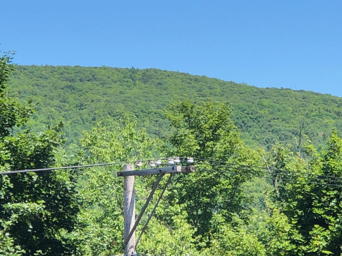 | Antique Rose Inn Windham