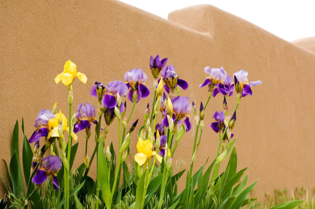 | Fort Marcy Suites