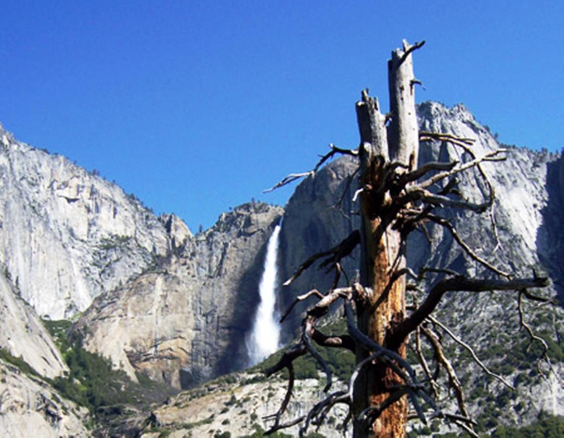 | Yosemite Riverside Inn